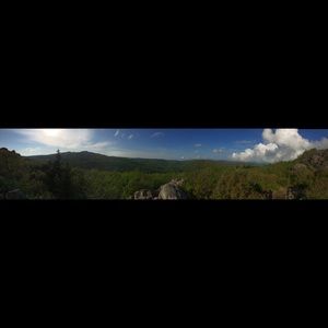 Meet your Posher, Tanya